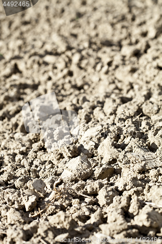 Image of Soil prepared for cultivation.