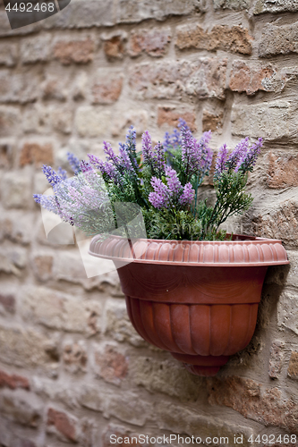 Image of Flower pot with lavender plant on antique brick wall