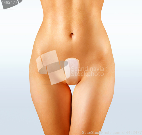 Image of shape of woman and sanitary pad