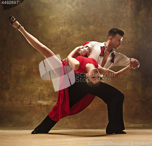 Image of Flexible young modern dance couple posing in studio.