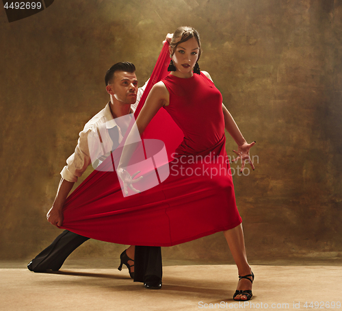 Image of Flexible young modern dance couple posing in studio.