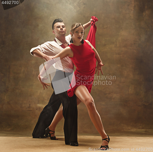 Image of Flexible young modern dance couple posing in studio.