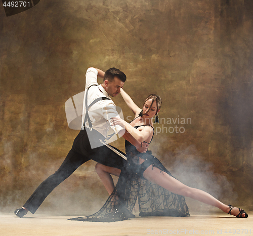 Image of Flexible young modern dance couple posing in studio.