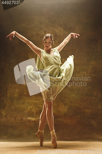 Image of Young ballet dancer - Harmonious pretty woman with tutu posing in studio -