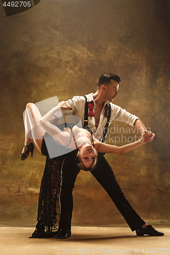 Image of Flexible young modern dance couple posing in studio.