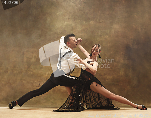 Image of Flexible young modern dance couple posing in studio.