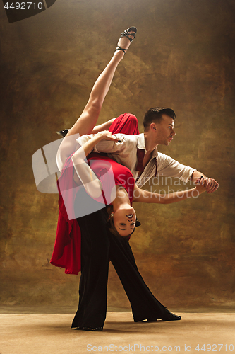 Image of Flexible young modern dance couple posing in studio.