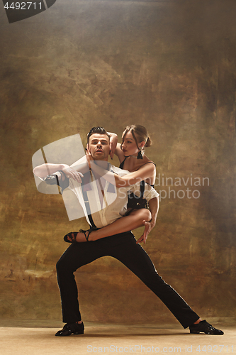 Image of Flexible young modern dance couple posing in studio.