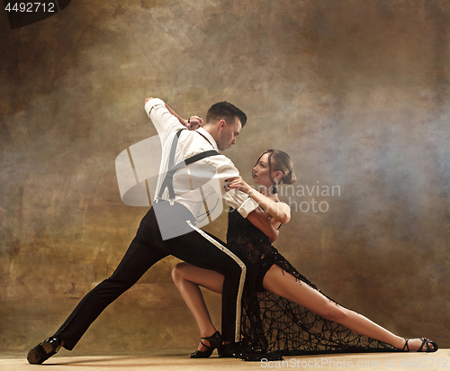 Image of Flexible young modern dance couple posing in studio.