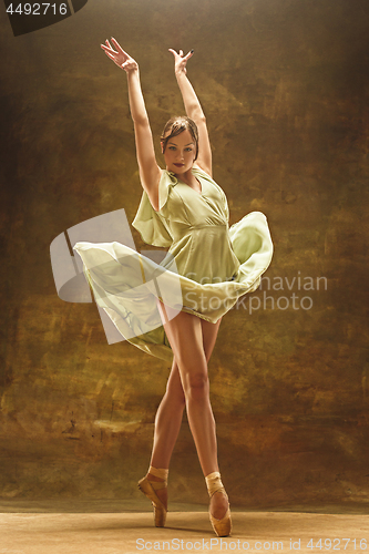 Image of Young ballet dancer - Harmonious pretty woman with tutu posing in studio -