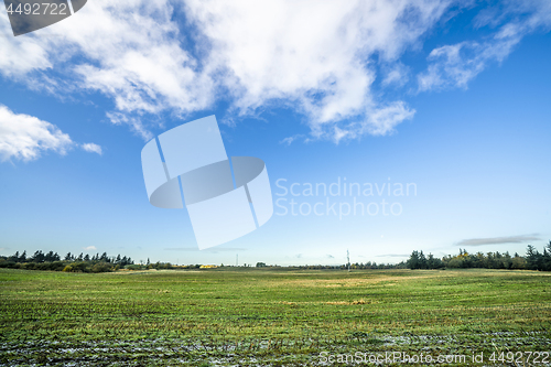 Image of Landscape with frozen green field in the fall