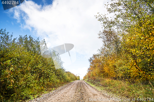 Image of Autumn colors on trees by the roadside of a dirt trail