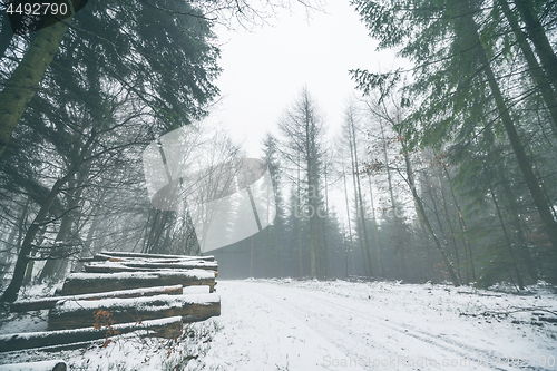 Image of Woodpile in a misty forest with snow