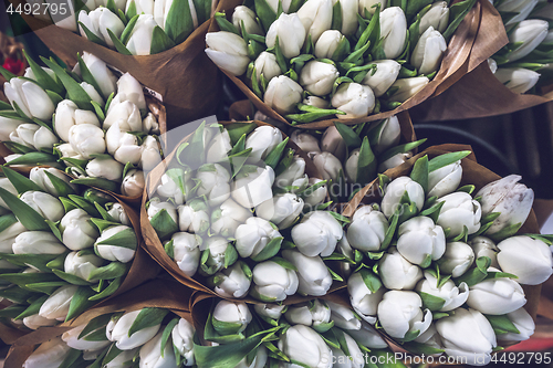 Image of White tulip bouquets in paper bags