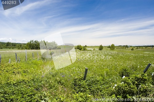 Image of Country side