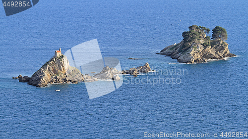 Image of Remote Islands