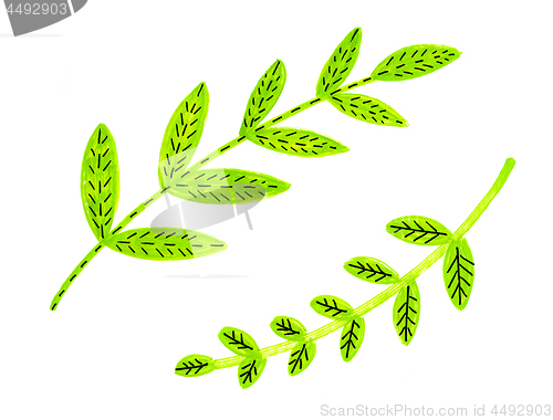 Image of Decorative bright green branches for design