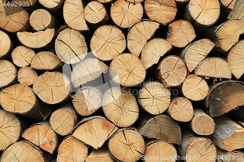 Image of Firewood pile stacked chopped wood trunks