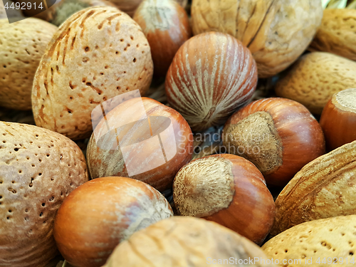 Image of Mix of different types nuts