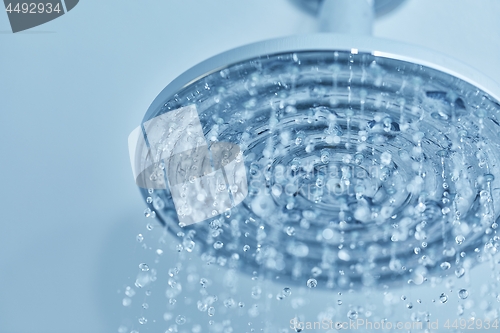 Image of Shower water flowing