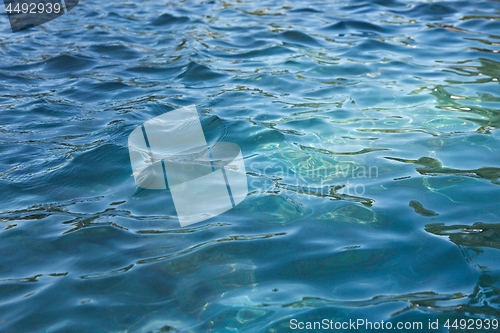 Image of Water Surface Ripples