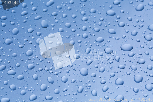 Image of Shiny Water Droplets