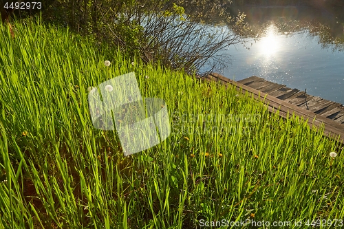 Image of Green Grass Field