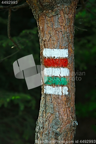 Image of Hiking trail signs