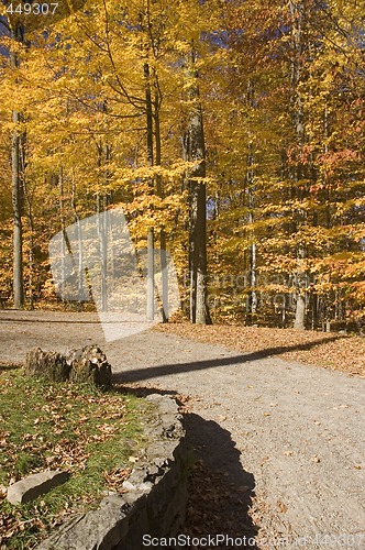 Image of Trail