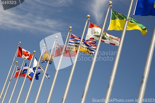 Image of Flags