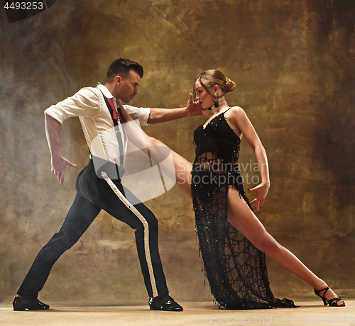 Image of Flexible young modern dance couple posing in studio.