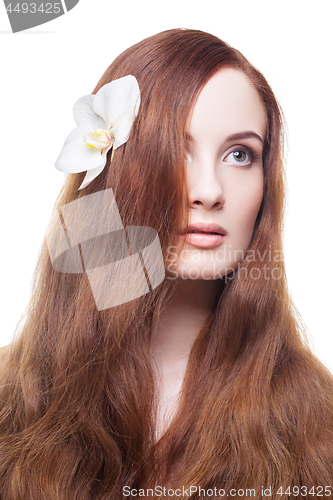 Image of Beautiful girl with long red brown hair