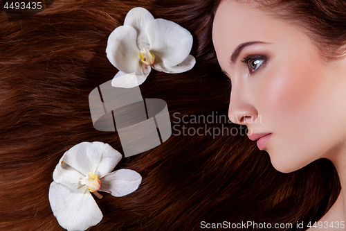 Image of Beautiful girl with long red hair