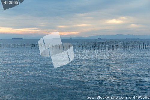 Image of Fish farm with sunset