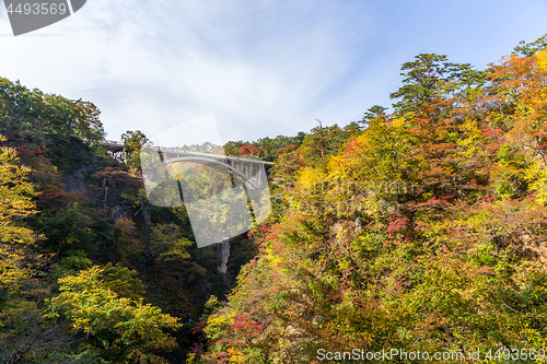 Image of Bridge crossing though Naruko Gorge