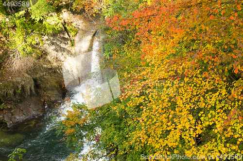 Image of Autumn Naruko canyon and cascade