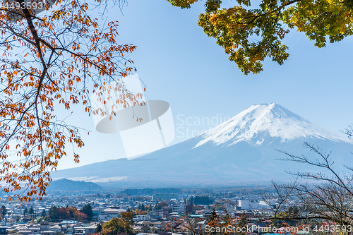 Image of Mountain fuji and maple tree