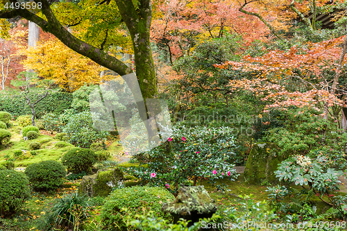 Image of Beautiful Japanese temple 