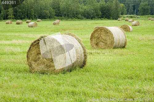 Image of Haystack