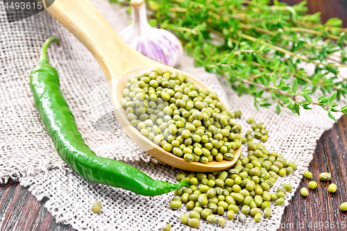 Image of Mung beans in spoon on burlap