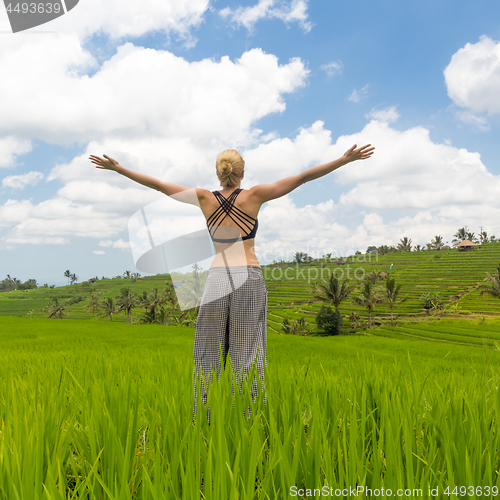 Image of Relaxed casual sporty woman, arms rised to the sky, enjoying pure nature of beautiful green rice fields on Bali.