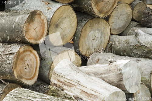 Image of Logs