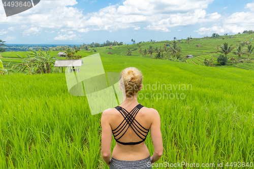 Image of Relaxed casual sporty woman enjoying pure nature of beautiful green rice fields on Bali.