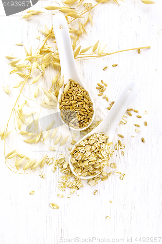 Image of Oat flakes and grains in spoons on board top