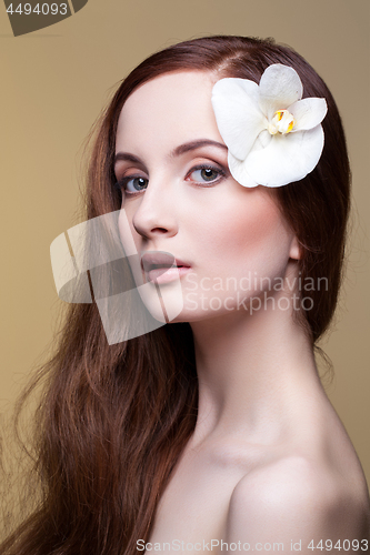 Image of Beautiful girl with long red brown hair