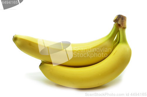 Image of Bunch of bananas 