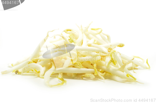 Image of Pile of bean sprouts 