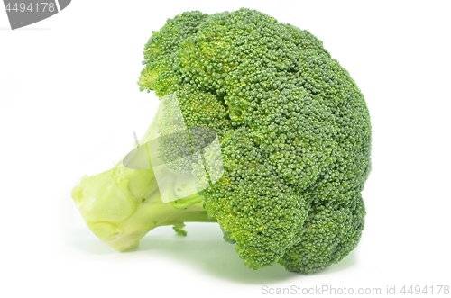 Image of Fresh broccoli isolated