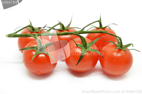 Image of Red cherry tomato