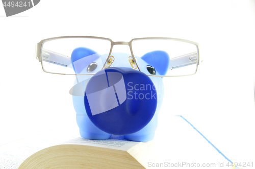 Image of Blue piggy bank on a text books